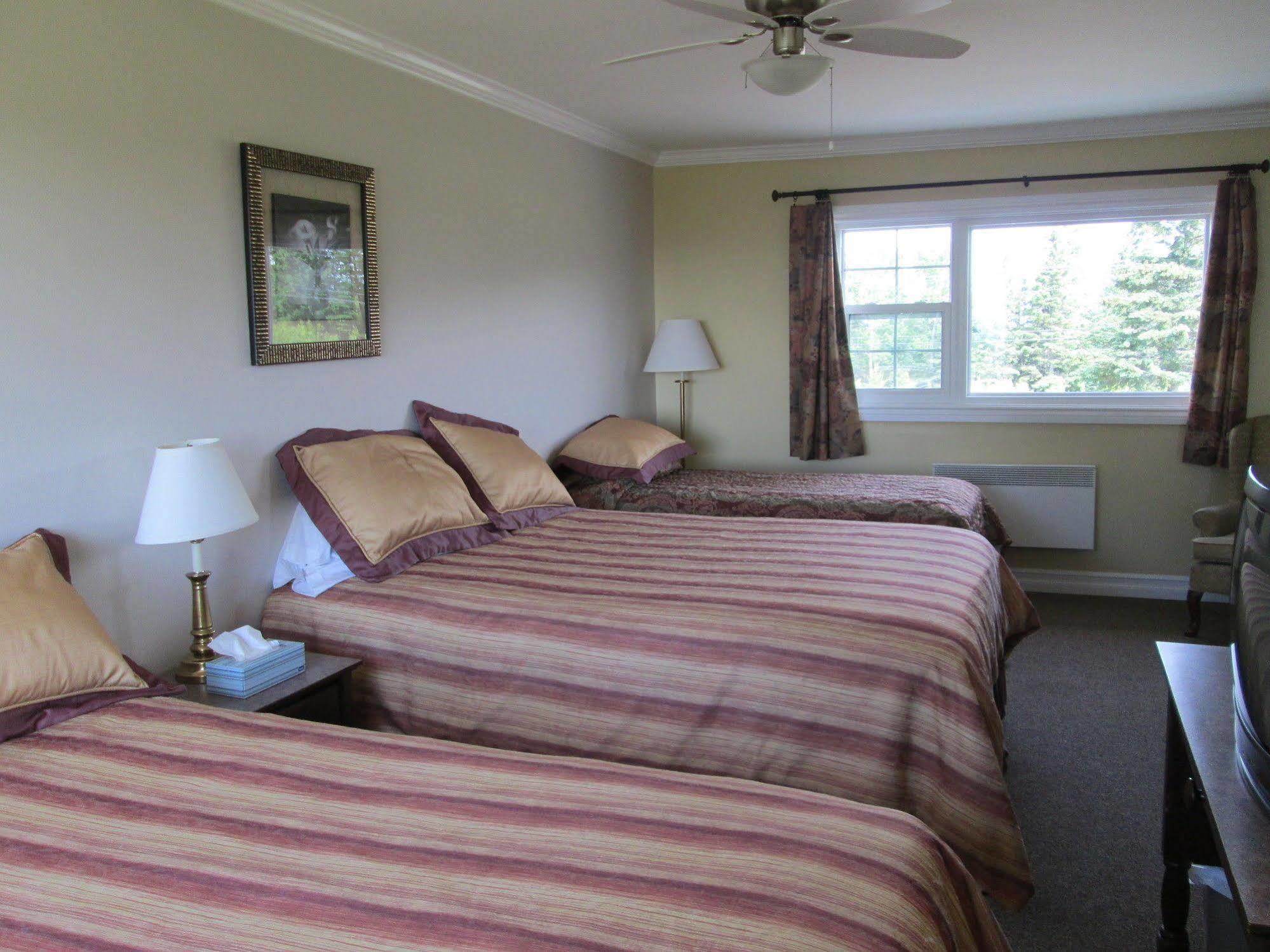 Scenic Motel Moncton Ngoại thất bức ảnh